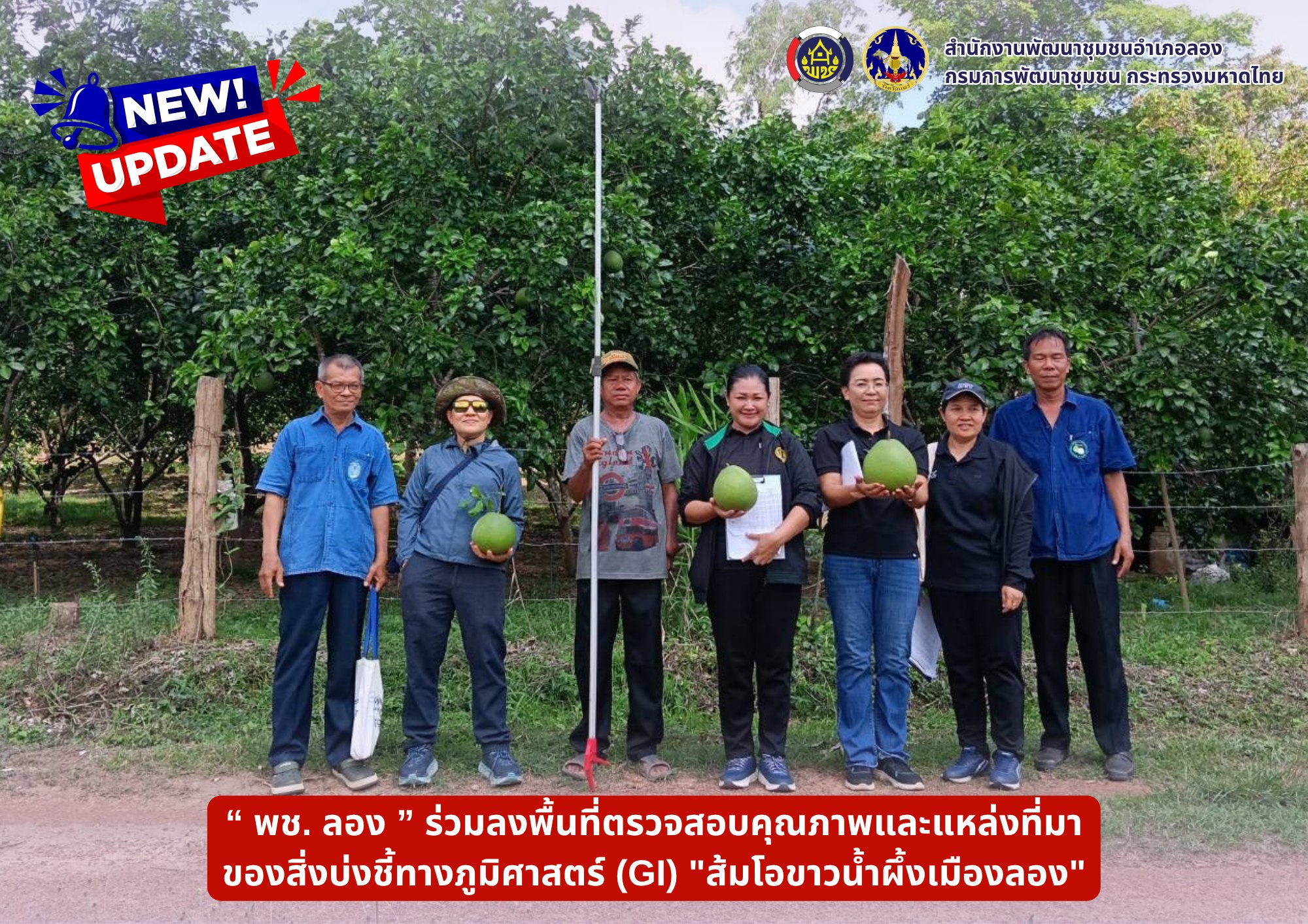 พช.ลอง ร่วมลงพื้นที่ตรวจสอบคุณภาพและแหล่งที่มาของสิ่งบ่งชี้ทางภูมิศาสตร์ (GI) "ส้มโอขาวน้ำผึ้งเมืองลอง" 